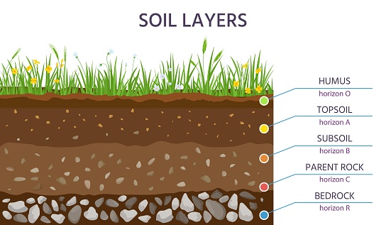 Soil structure layers, ground cross section education diagram. Grass, humus, topsoil, subsoil, parent rock and bedrock. Geology vector banner. Scientific scheme for underground learning