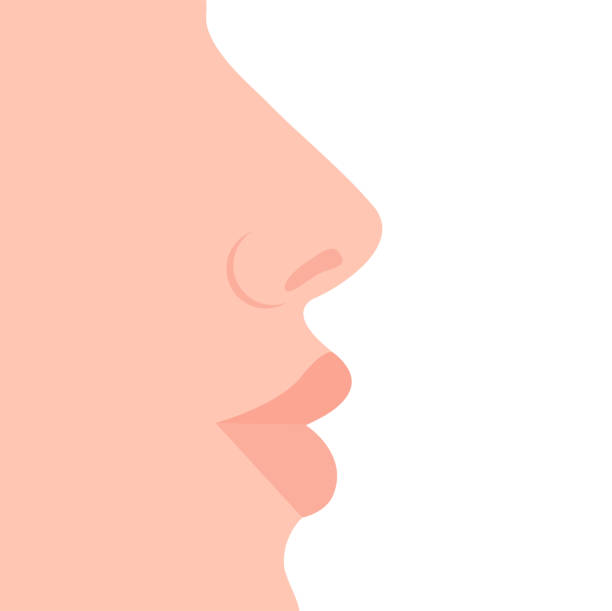 Woman's face in profile, nose and lips close-up. Vector illustration, flat minimal color cartoon design, isolated on white background, eps 10. Woman's face in profile, nose and lips close-up. Vector illustration, flat minimal color cartoon design, isolated on white background, eps 10. puckering stock illustrations