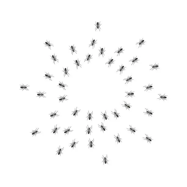 Vector illustration of Hordes of ants otakut from all sides in a circle.
