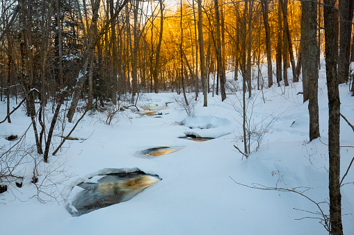Snowy woodland forest with the warm glow of sunset along Railroad Brook, at Valley Falls Park in Vernon, Connecticut.