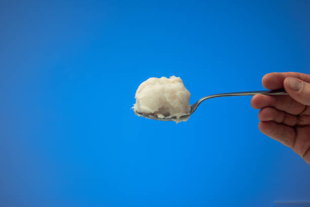 Pig fat or lard on a metal spoon held by Caucasian male hand. Close up studio shot, isolated on blue background stock photo