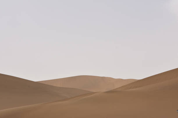 Sand Dunes in the Desert stock photo