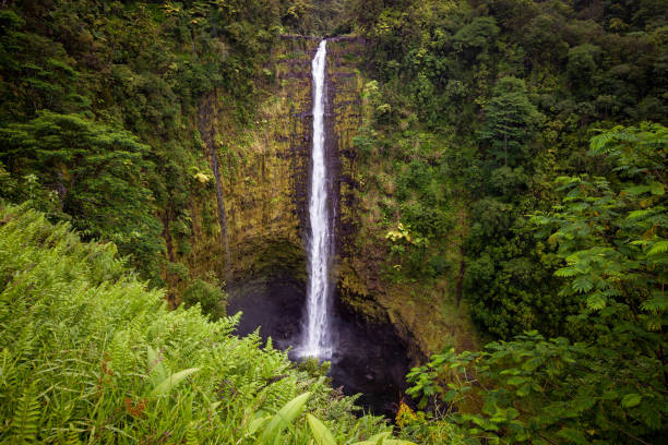 istock Akaka Falls State Park, Hawaii 1371151233