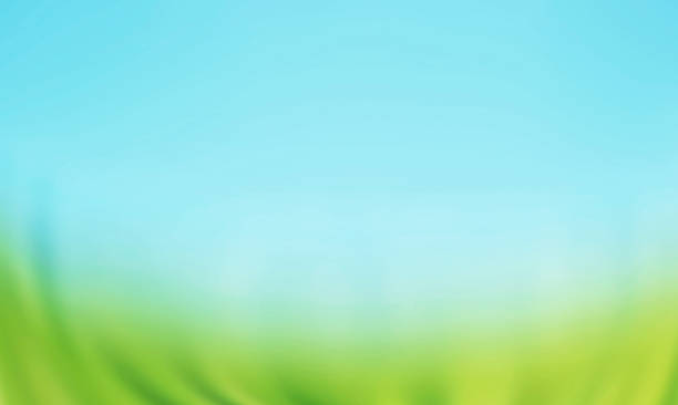 Abstract blurred beautiful green nature with blue sky