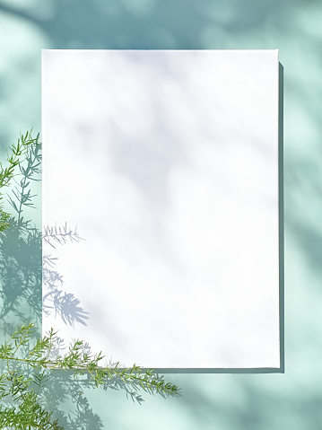 Blank white drawing canvas on mint colored surface with palm leaves, home plants and soft floral shadows. Spring Summer Typography, To do list. Ecodesign.