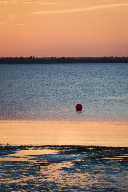 Red ball floting in the water at sunset