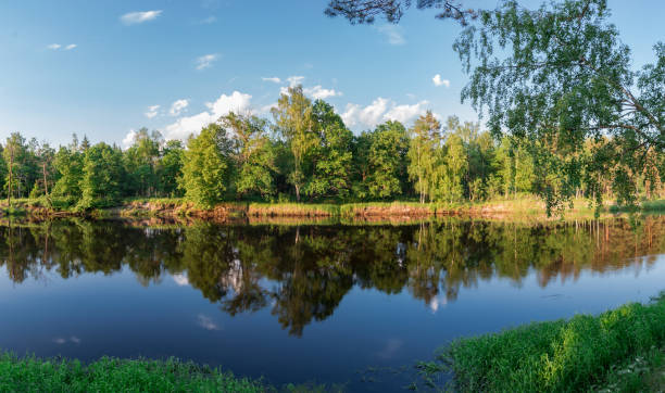 istock Panorama of riverbank in evening sun 1371159300