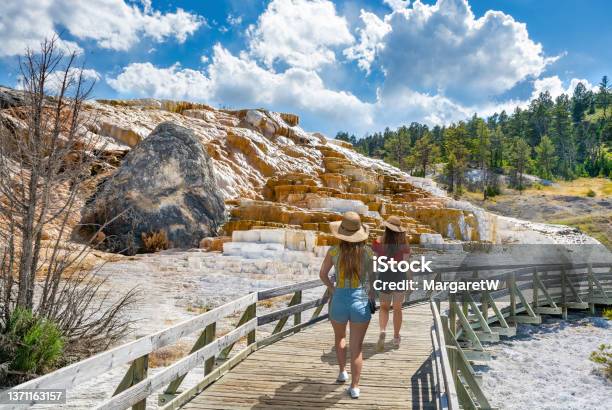 Women Hiking On Summer Vacation In Yellowstone National Park Stock Photo - Download Image Now