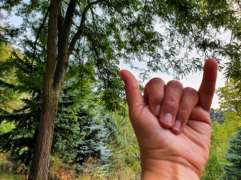 Hang loose hand sign (the shaka  sign) in the countryside.