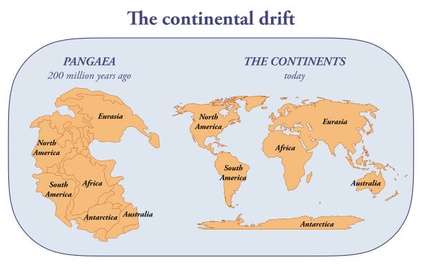 The continental drift vector art illustration