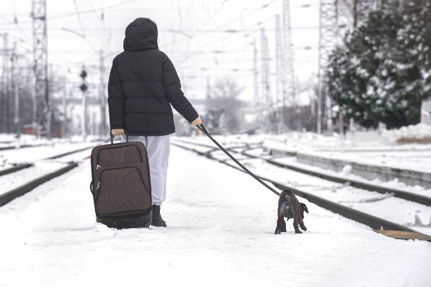 istock Waiting for a train to travel by rail with pets 1371169730