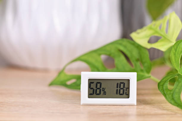 Hygrometer and thermometer device to measure humidity and temperature for houseplants Hygrometer and thermometer device to measure humidity and temperature for houseplants hygrometer photos stock pictures, royalty-free photos & images