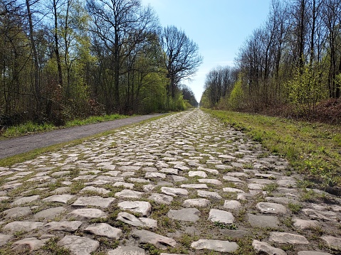 paved area of wallers arenberg - Dèvre loop D'Hérin - in the heart of the forest of Raismes-Saint-Amand-Wallers. Made famous by the Paris-Roubaix cycling race