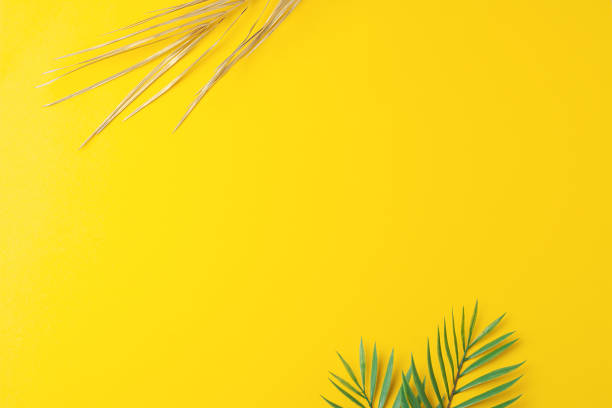 istock Tropical natural background with palm leaf on yellow. Flat lay, copy space 1371171573