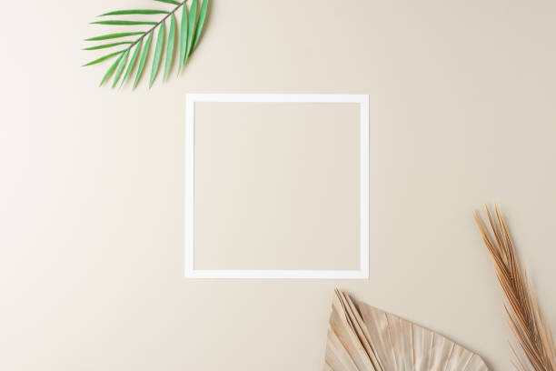 Minimal composition with white frame and palm leaf on pastel beige background. Flat lay, copy space