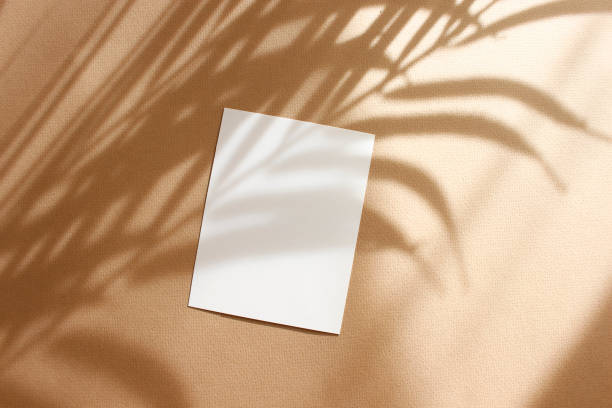 istock Card mockup with copy space top view, flat lay. Greetings, wedding invitations blank, paper sheet and dry palm leaf on beige background. 1371172921