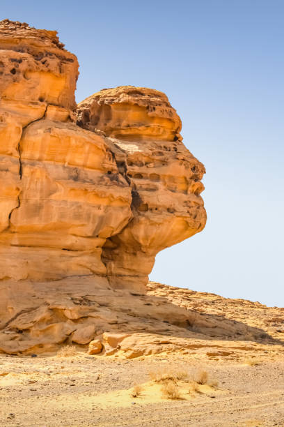 istock Rock formation Mada'in Saleh Saudi Arabia Hegra 1371175379