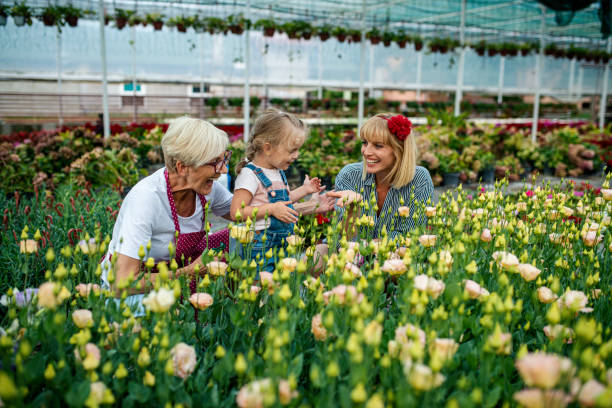 une petite fille apprend le jardinage botanique de sa mère et de sa grand-mère - casual granddaughter farmer expressing positivity photos et images de collection