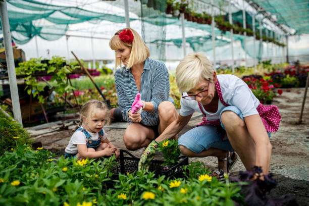 grandmother, daughter and granddaughter working together in botanical greenhouse - casual granddaughter farmer expressing positivity imagens e fotografias de stock