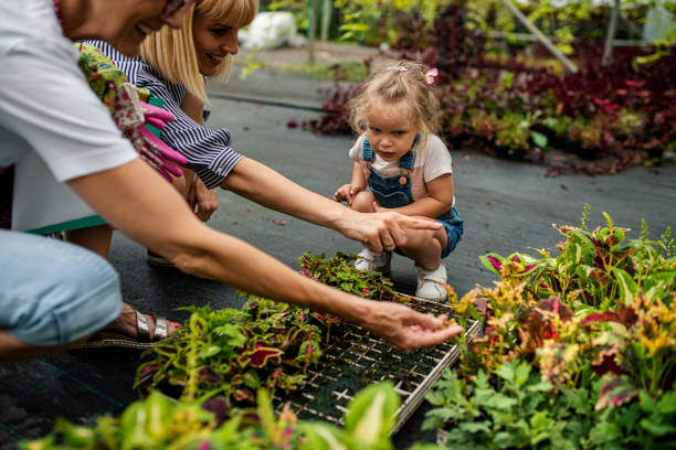 grandmother, daughter and granddaughter working together in botanical greenhouse - casual granddaughter farmer expressing positivity imagens e fotografias de stock