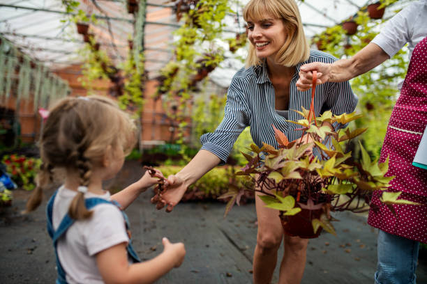 une petite fille apprend le jardinage botanique de sa mère et de sa grand-mère - casual granddaughter farmer expressing positivity photos et images de collection