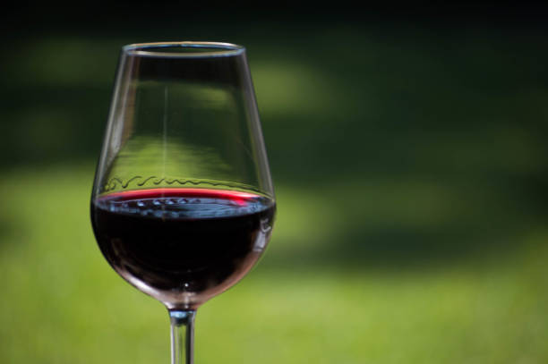 istock Glass of red wine close up 1371179349