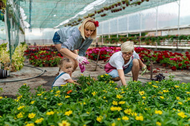 grandmother, daughter and granddaughter working together in botanical greenhouse - casual granddaughter farmer expressing positivity imagens e fotografias de stock