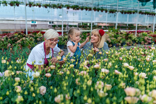 grand-mère, fille et petite-fille travaillant ensemble dans une serre botanique - casual granddaughter farmer expressing positivity photos et images de collection