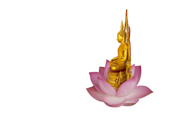Buddha statue on isolated white background with copy space and clipping path.