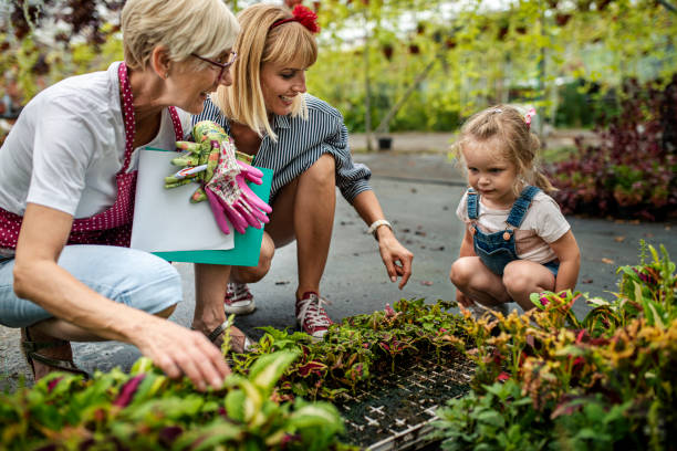 little girl learning about botanical gardening from her mother and grandmother - casual granddaughter farmer expressing positivity imagens e fotografias de stock