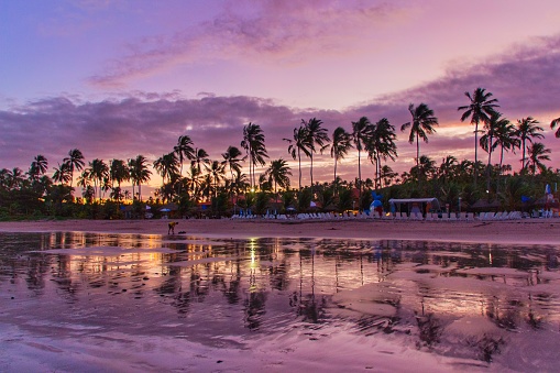 Beach in Brazil with a colorful sea. Maragogi, Alagoas - Brazil.