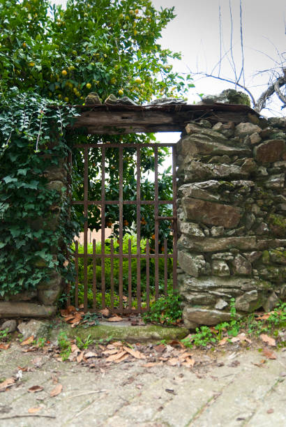istock Wrought iron gate in slate wall in Robledillo de Gata 1371184831