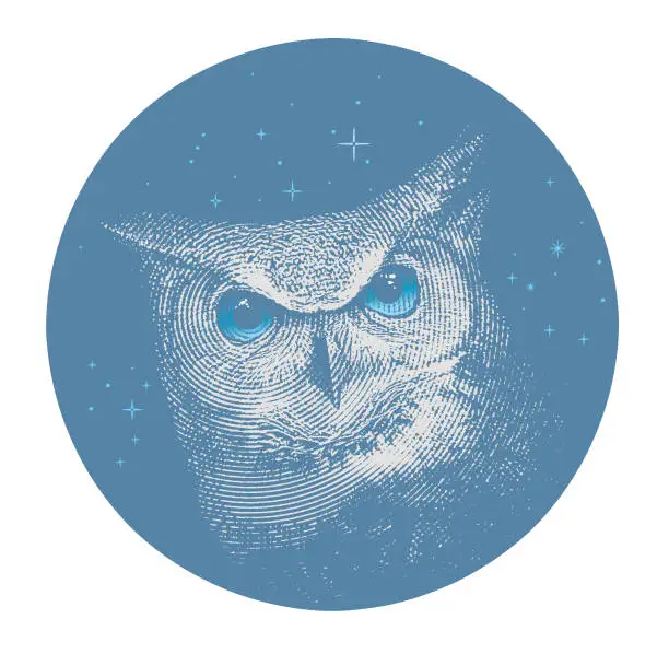 Vector illustration of Great Horned Owl, night sky and stars