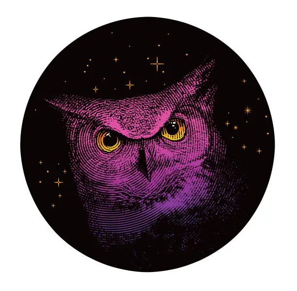 Vector illustration of Great Horned Owl, night sky and stars