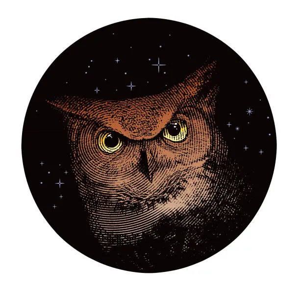 Vector illustration of Great Horned Owl, night sky and stars