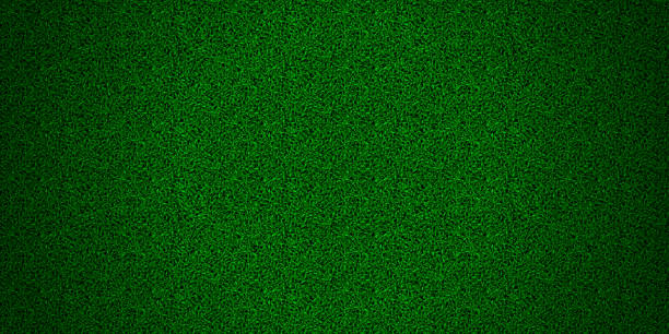 zelené pole se vzorem textury trávníku astro trávníku - trávník stock ilustrace