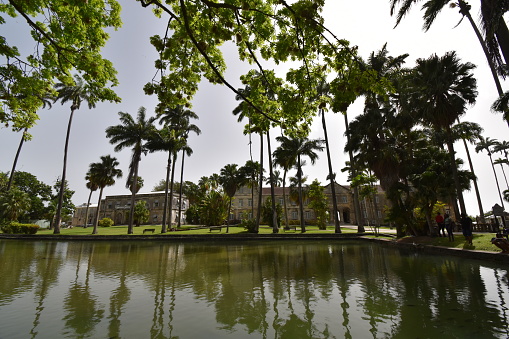 Palm Trees reflect in the water in a pond at the Codrington College, St. John, Barbados. The college building can be seen in the background.
