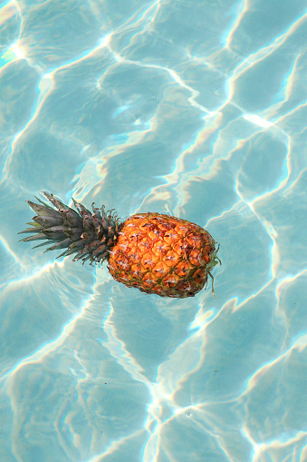Floating pineapple on pool water surface in summer
