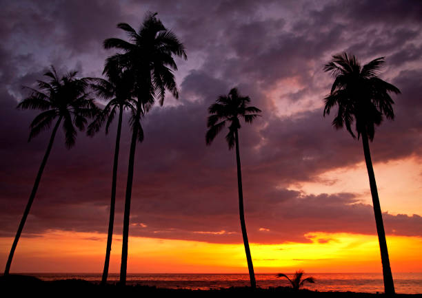 istock Khao Lak Thailand  pictures 1371207942