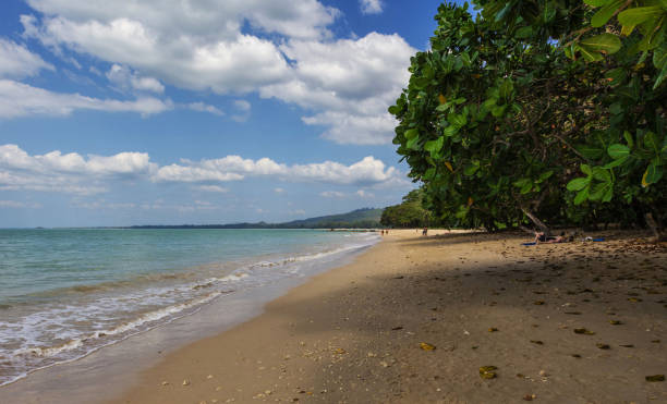 istock Beautiful Khao Lak Thailand  pictures 1371209152