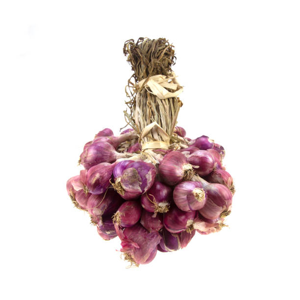Bunch of red onion - shallots isolate on white background