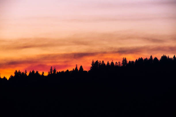 istock Red orange fiery sunset glowing against tree line hill silhouette 1371218221