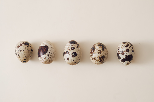 Row of small speckled quail eggs on a white background with copy space conceptual of Easter
