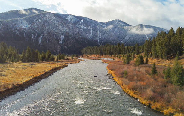 istock Quake lake, Montana, USA 1371223254