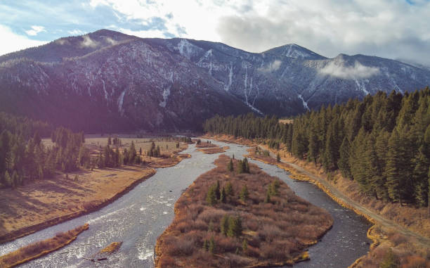 istock Quake lake, Montana, USA 1371223256