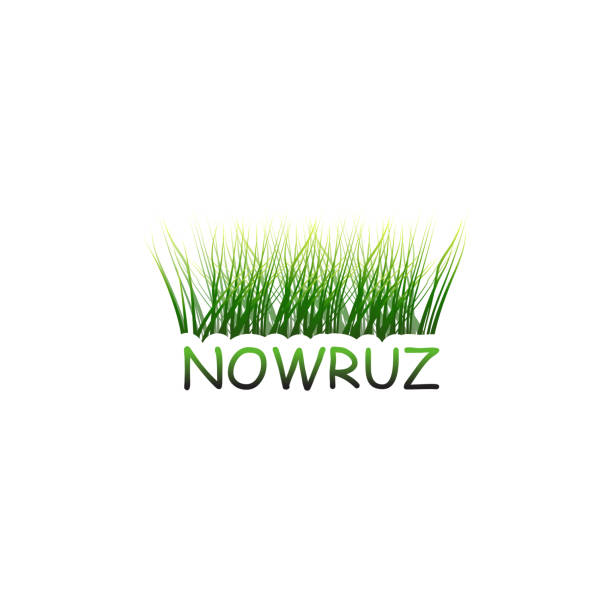 Happy Persian New Year (Nowruz) vector illustration. greeting card, poster and banner. Happy Persian New Year (Nowruz) vector illustration. greeting card, poster and banner. Green wheat grass semeni. first day of spring 2021 stock illustrations