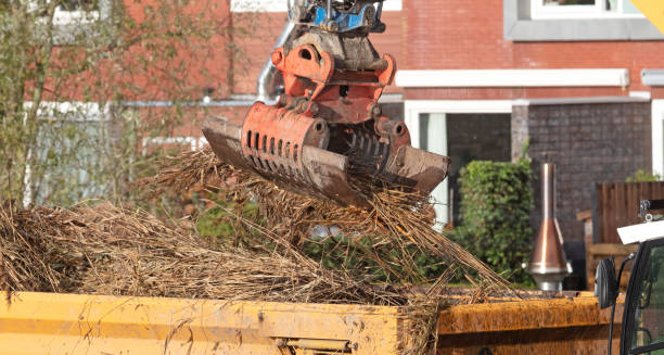 istock Gathering reeds with a large grab crane 1371230552