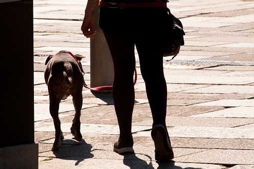 Young woman walking with the dog on a pedestrian zone. Physical activity, back lit close-up  view. Sunny weather in Gijon, Asturias, Spain.