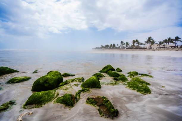 Salalah, Oman City Beach