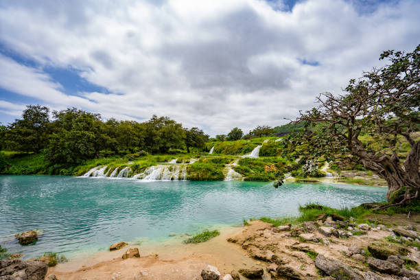 cascate di darbat, salalah, sultanato dell'oman. - tropical rain forest foto e immagini stock